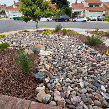 Irvine Turf Rebate Front Yard