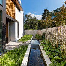 landscaping ideas