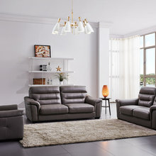 Modern Contemporary Genuine Leather Brown Sofa Collection