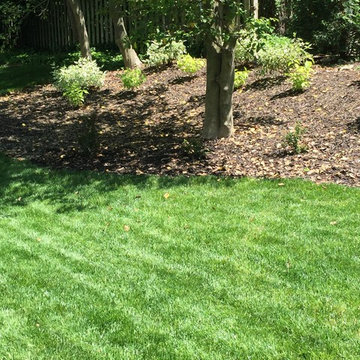 Glendale Landscaping