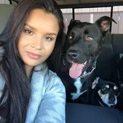 Debora Rodrigues's photo