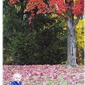 Elizabeth Pastorius's photo