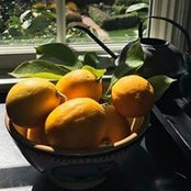 Sheila Burke's photo