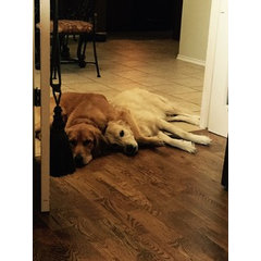 Paramount Flooring