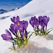 Mee Ma's photo