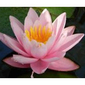 Barbara Atzei's photo