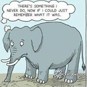 Mary Rios's photo
