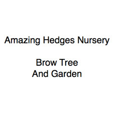 Amazing Hedges Nursery / Brow Tree And Garden