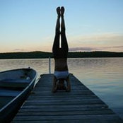 Emily Harshaws foto
