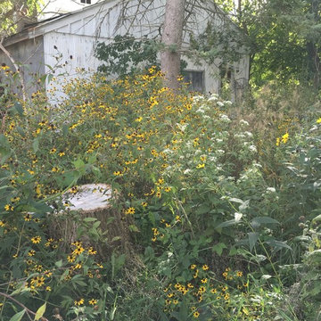 Natural Native Plantings