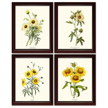 Yellow Flower Botanical Print Set 4 Framed Antique Vintage Illustrations, Cherry