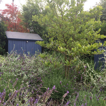 Redland Front Garden