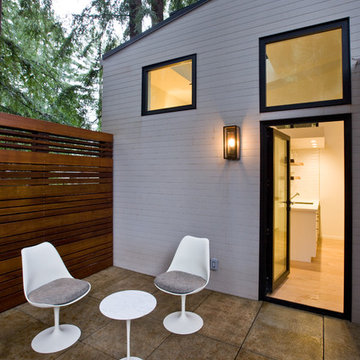 Forest Studio