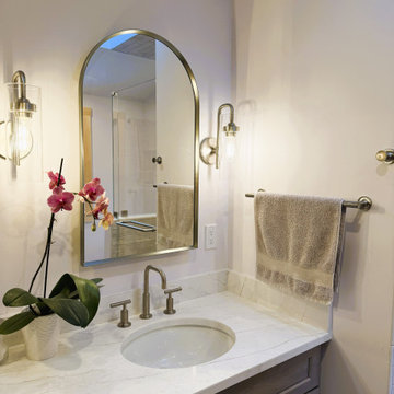 Brushed Nickel Accents