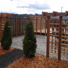 Patio/yard