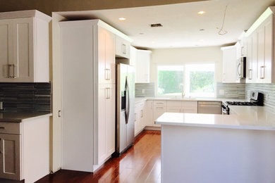 Example of a minimalist kitchen design in Los Angeles