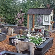 Landscape/gardens