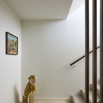 A Room with a View | Contemporary Home in Mission Bay | Rogan Nash Architects