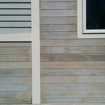 Beaver Dam House detail