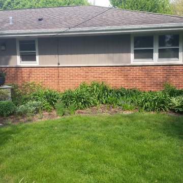 sycamore mulch-less conversion