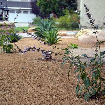 Sustainable Garden