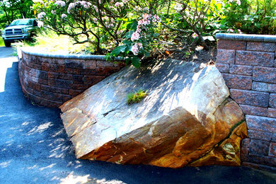 Inspiration for a transitional landscaping in DC Metro.