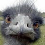 Scott Woodbury's photo