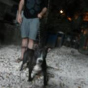 Joel Blackmore's photo