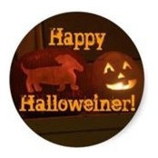 Joannie Moore's photo