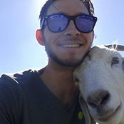 Damien Burke's photo