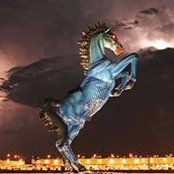 Felix Tannenbaum's photo