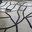 Radius Design And Landscape, LLC