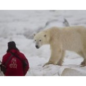 Andrew MacPherson's photo