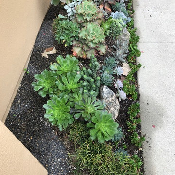 Garden Makeovers - Front and Entry Gardens