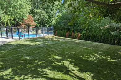 Backyard Oasis