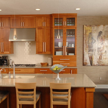 Transitional Kitchen
