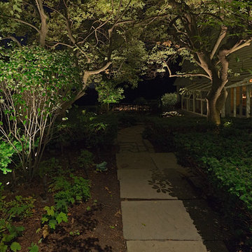 illi permanent HK Landscape Lighting area