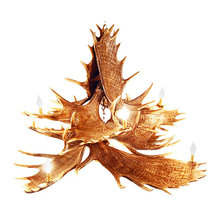 Cabin