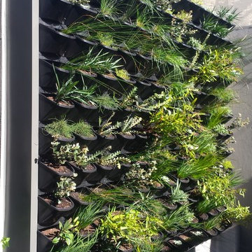 Construction of green roofs and walls