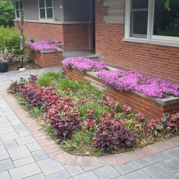 sycamore mulch-less conversion