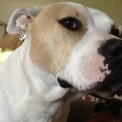 Leslie Showalter's photo