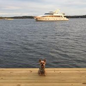 Kelley Cullins's photo