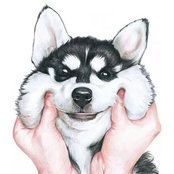 Foto von Jac Chew