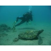 Tom Schwarz's photo