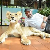 Matt Hales's photo