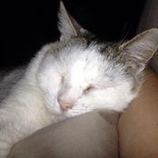 Sam Mack's photo