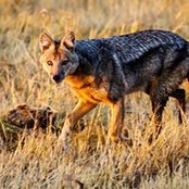 Bob Selby's photo