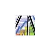 Ricardo Zivec's photo