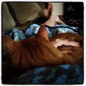 Leslie Jones's photo