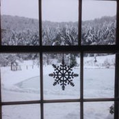 Anthony Seidita's photo